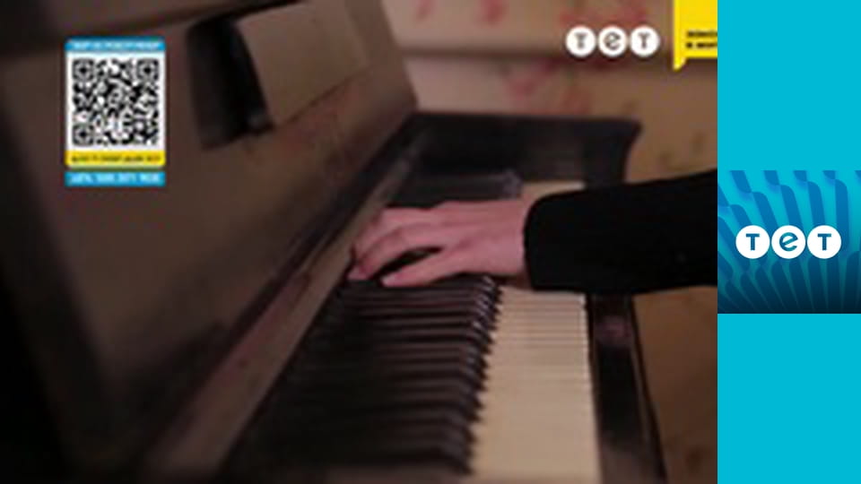 Панянка-селянка E110