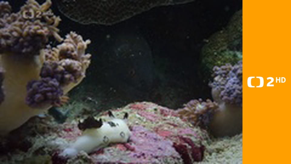 Cesty kolem světa E6