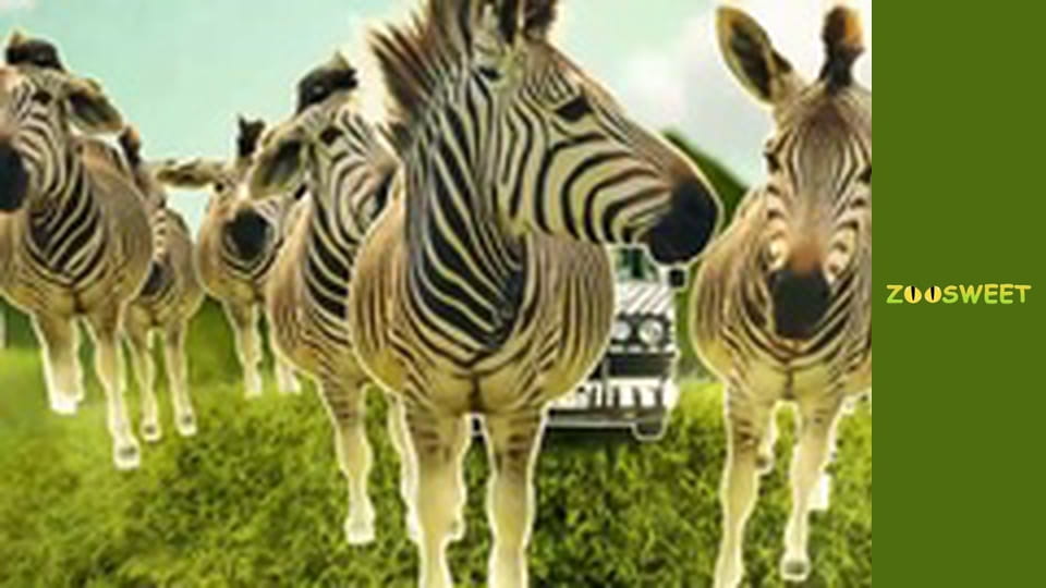 Siaya, Season 1, Episode 8