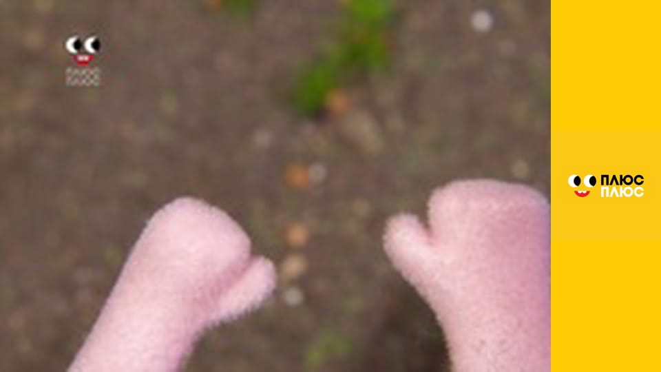 Історія жителів Сильванії