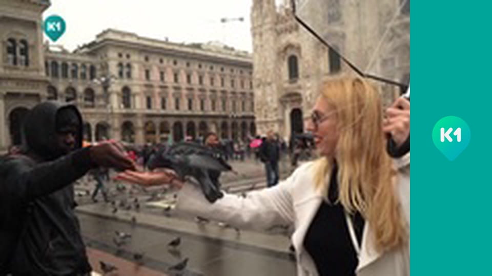 "Приключения с Яной Метёлкиной".