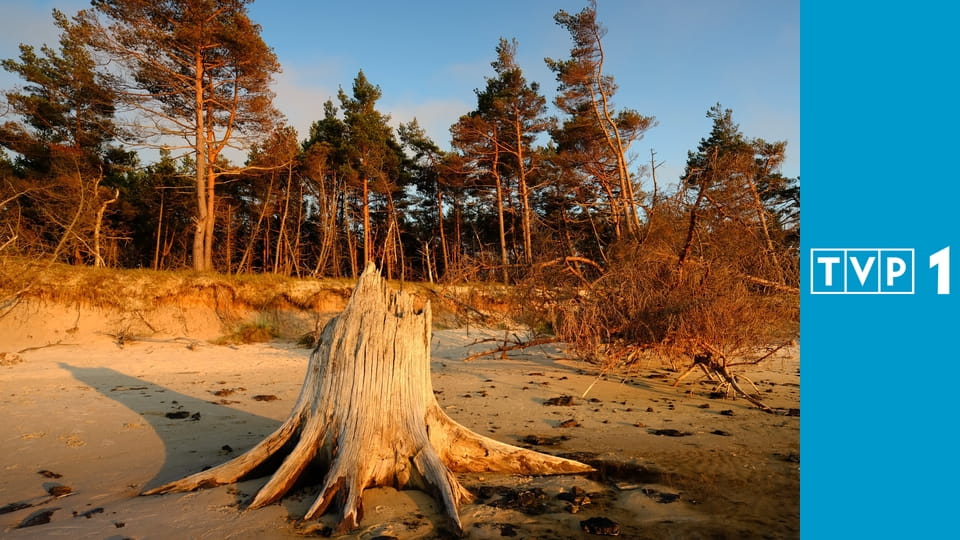 Polskie parki narodowe E10 - Karkonoski Park Narodowy