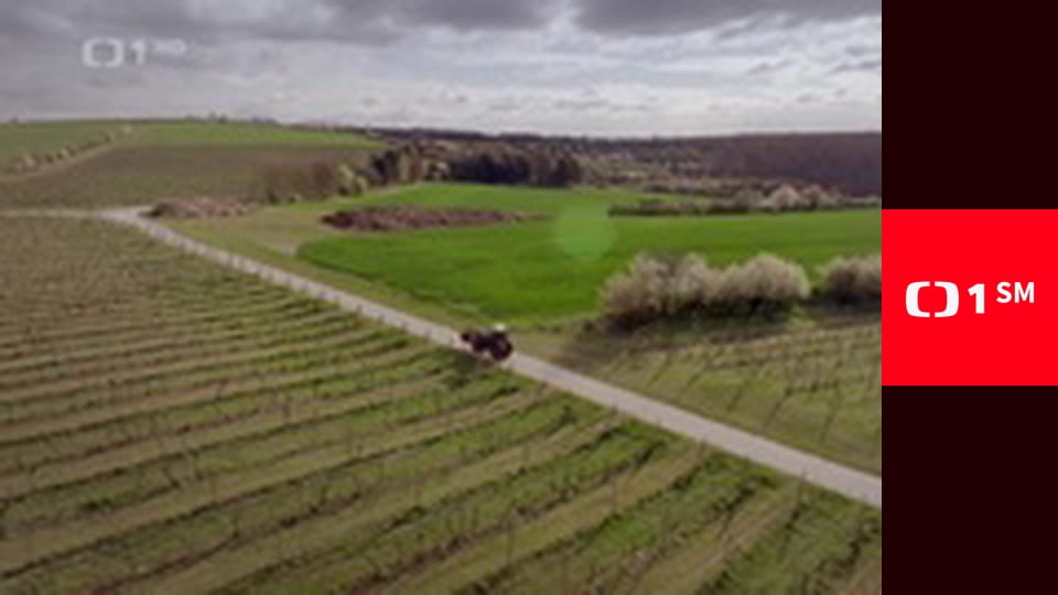 Toulky Českem budoucnosti - Masný průmysl