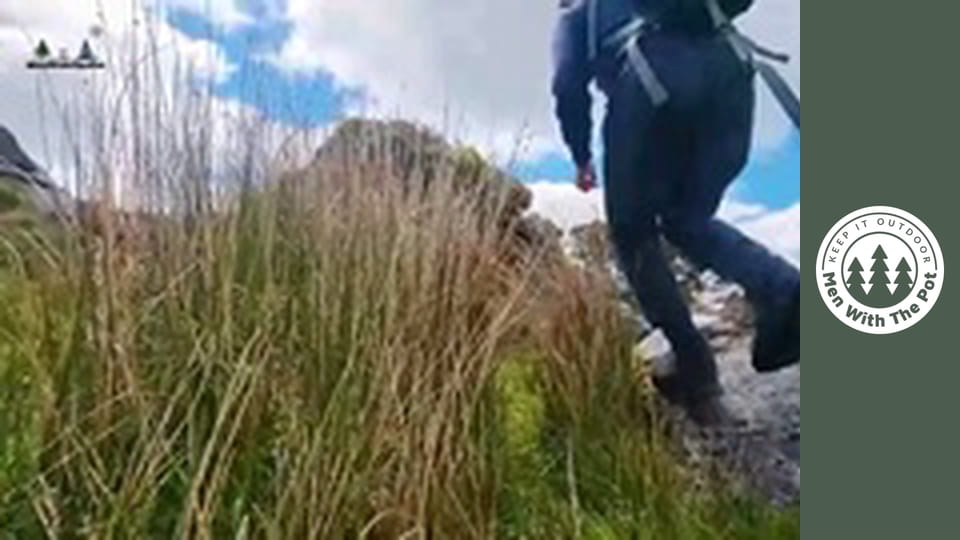 Nem hagyományos Ratatouille