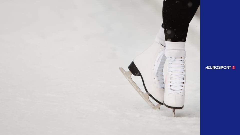 Krasobruslení: GP Japonsko