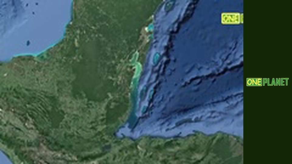 Мир морских глубин, 26 эп.