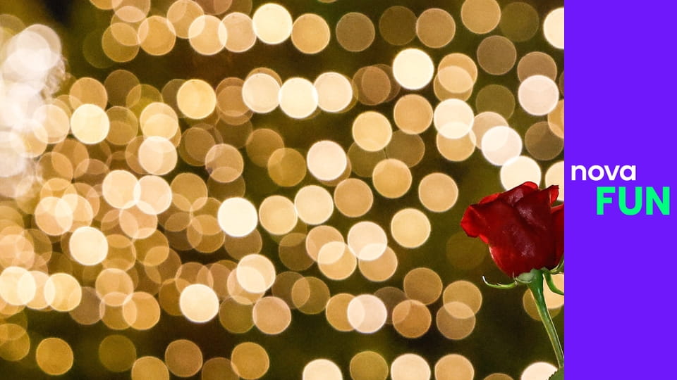 Bachelor Česko S2E7