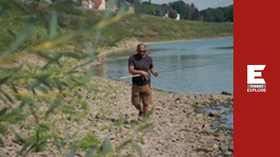 Monster Carp - Holland