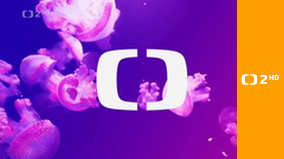 Televizní klub neslyšících