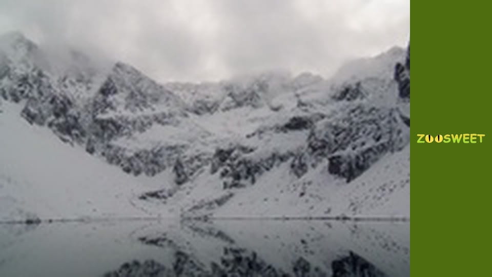 Let's go Wild, Episode 2