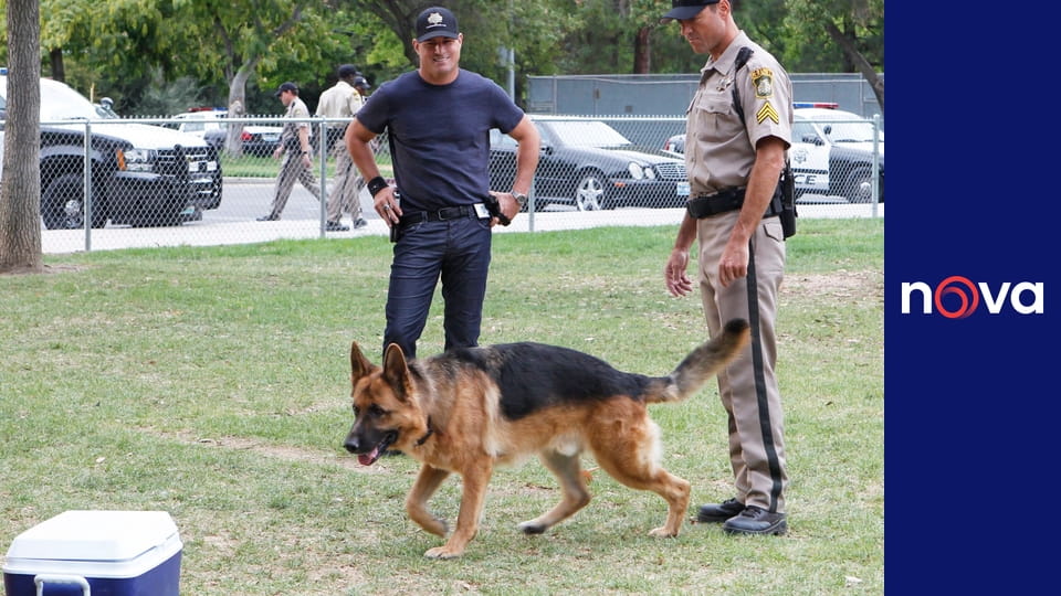 Kriminálka Las Vegas S14E3 - Plamenná píseň