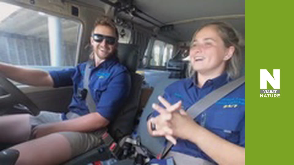 Aussie Snake Wranglers - A Deadly Bite