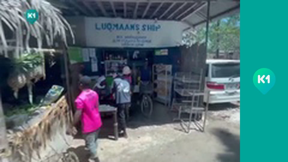 "Пригоди з Яною Метьолкіною".