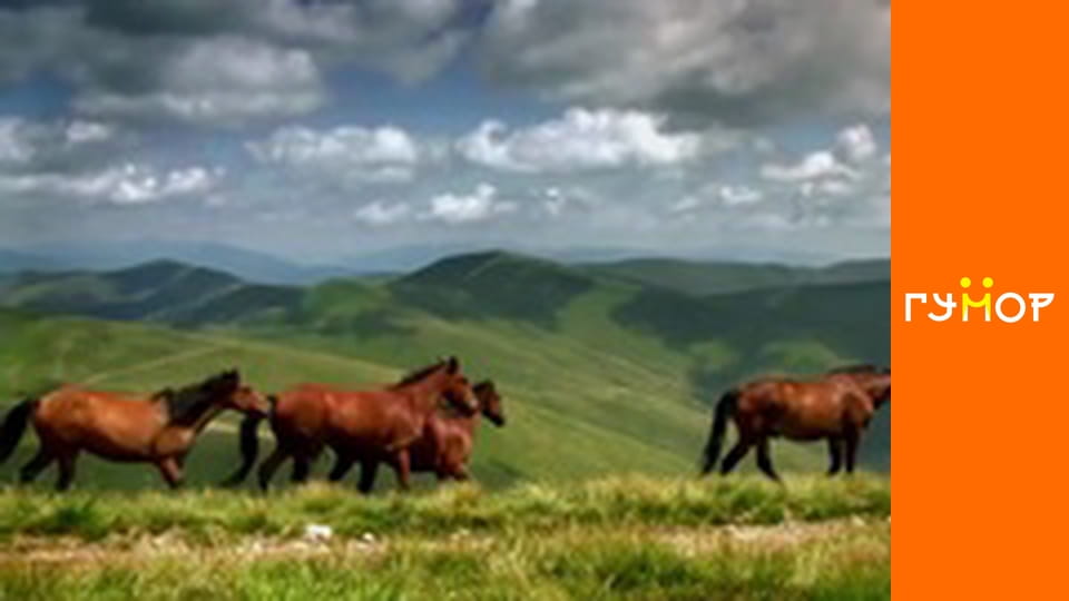 The last moskovite, Season 1, Episode 12