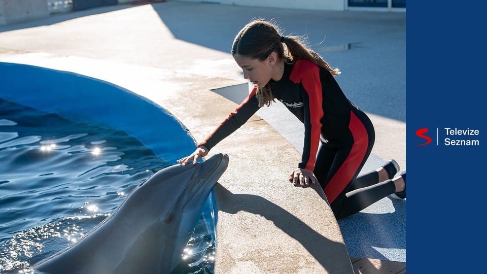 Můj kamarád delfín 2