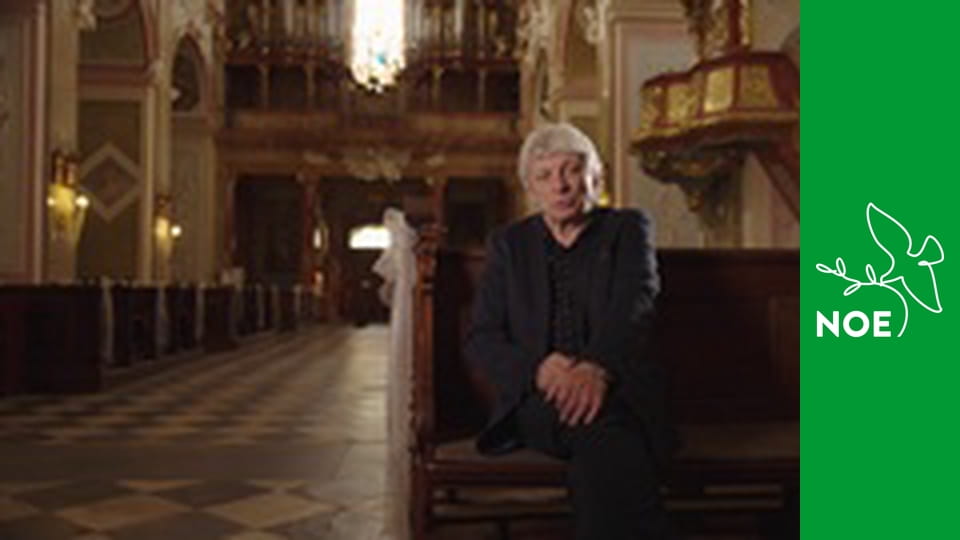 Noční repríza dopoledních pořadů