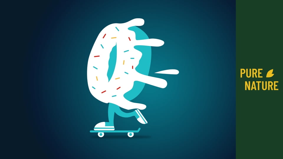 Africká divočina: Roztomilé surikaty a veverky