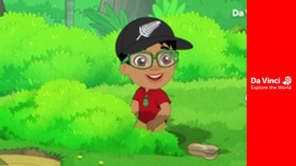 Darwin és Newts - A madárfürdető