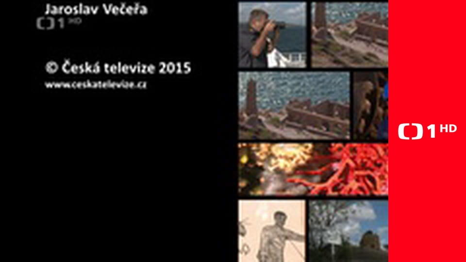 Z metropoly, Týždeň v regiónoch