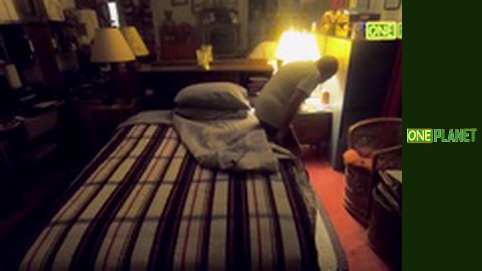 Ваш фантастичний розум, 12 еп.