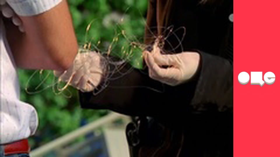 Т/с "CSI: Місце злочину - Маямі", 7 сезон, 17 с.