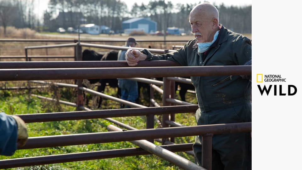 Skvělý dr. Pol S19E5 - Zvířátka a spol.