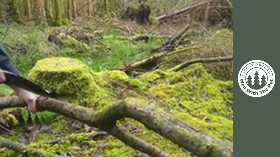 Pui Întreg preparat în Pădure