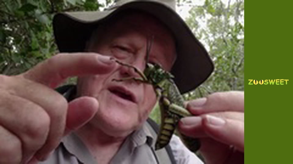 Siaya, Season 2, Episode 11