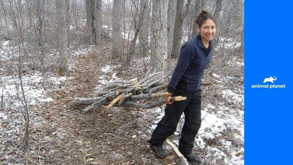 Aljaška: překonání poslední hranice S1E1 - Do divoké pustiny