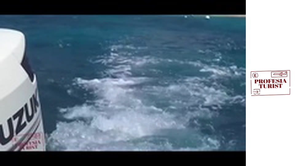 По ръба на кораловия риф на о-в Мавриций