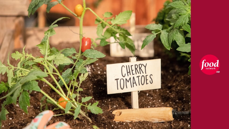 Чемпионат юных пекарей S9E8 - Съедобное настроение