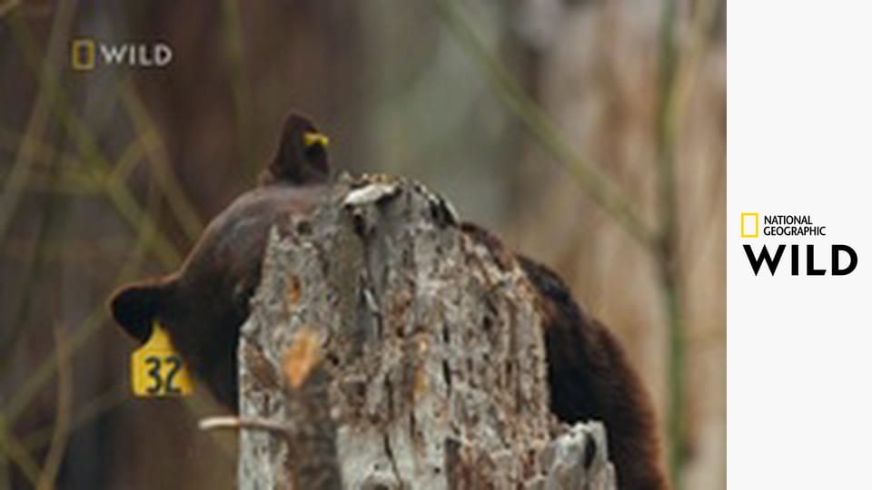 Parki narodowe Ameryki E3 - Yosemite