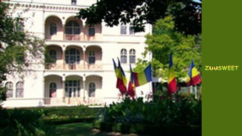 Wild Carpathians, Season 1, Episode 2