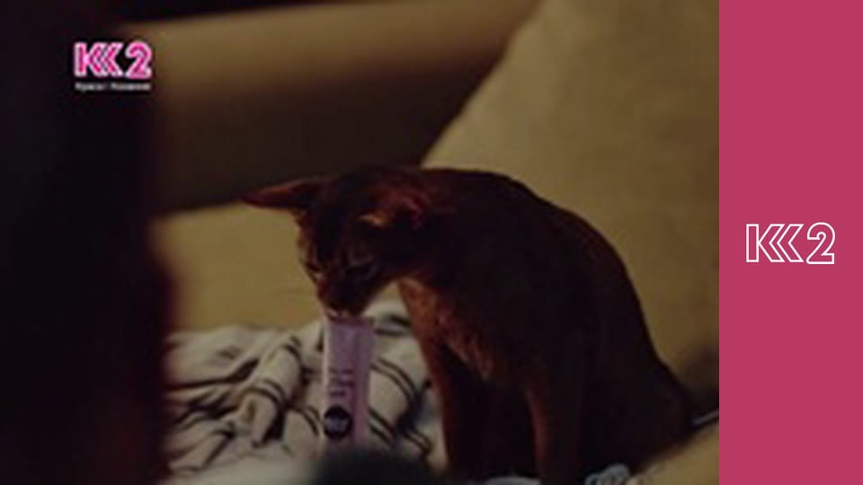 Готуємо разом E10 - Зимові м'ясні салати