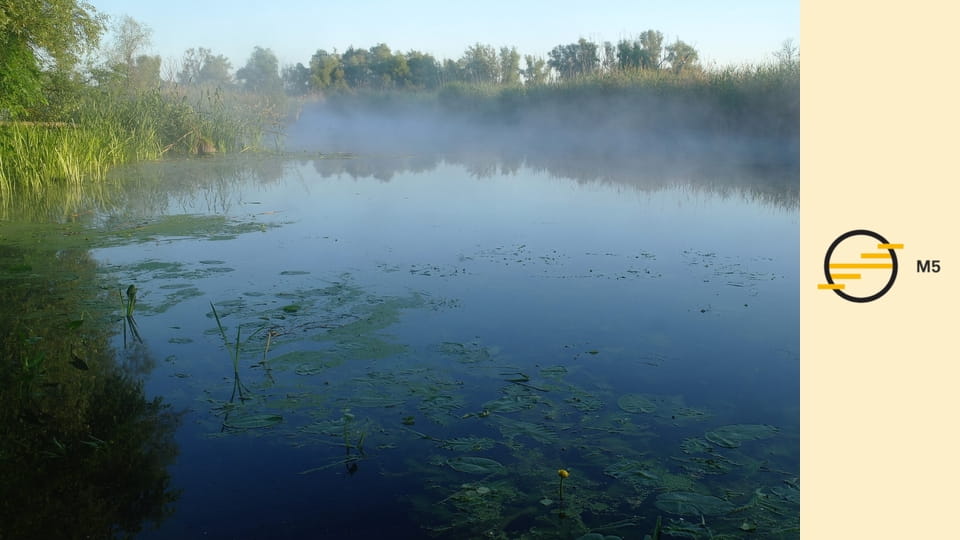 Ezeréves vadvízország