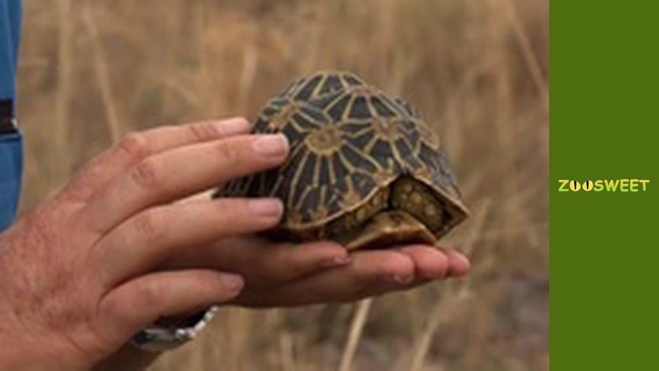 My favorite - episode 10