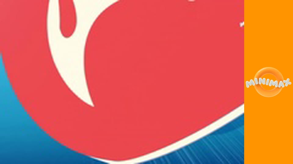 Příhody bílého delfína S1E37 - Chobotnice Paco