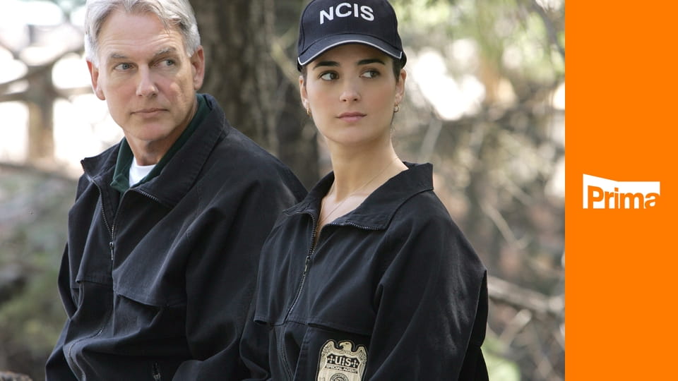 Námořní vyšetřovací služba S7E17 - Dvojí identita