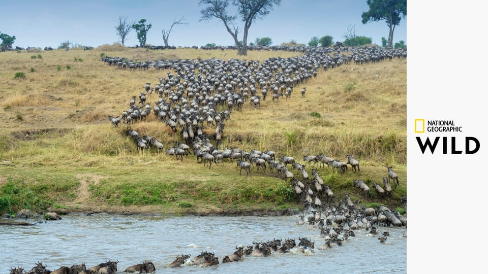 Мара: Возрождение S1E1