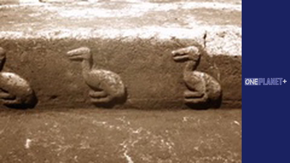 Путешествие в Прошлое, Выпуск 4