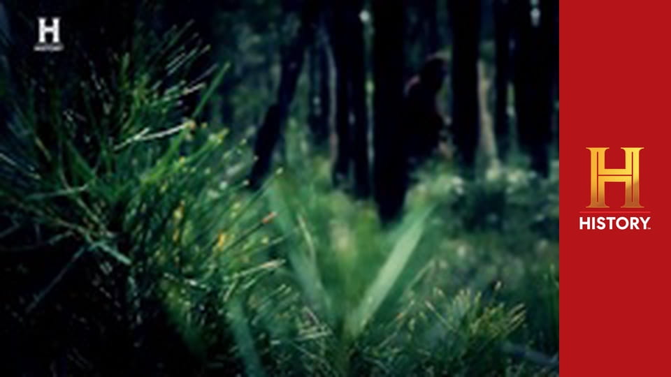 Доказательство где-то рядом, 4 сезон, 1 эп. Дело о бигфуте.