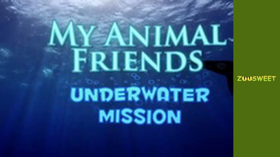 My friends are animals. Underwater mission - episode 19