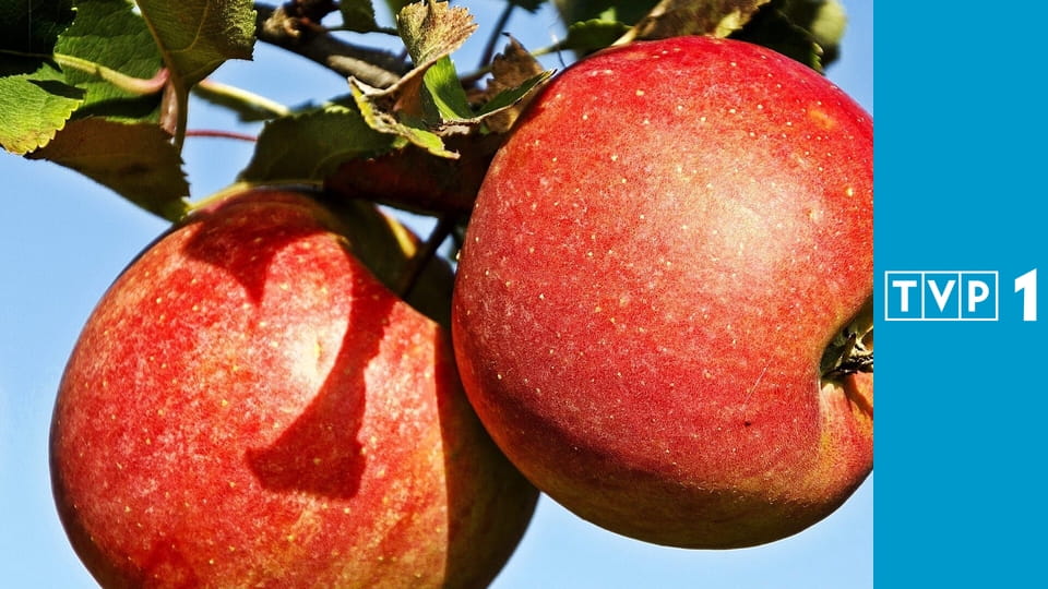 To się opłaca E223