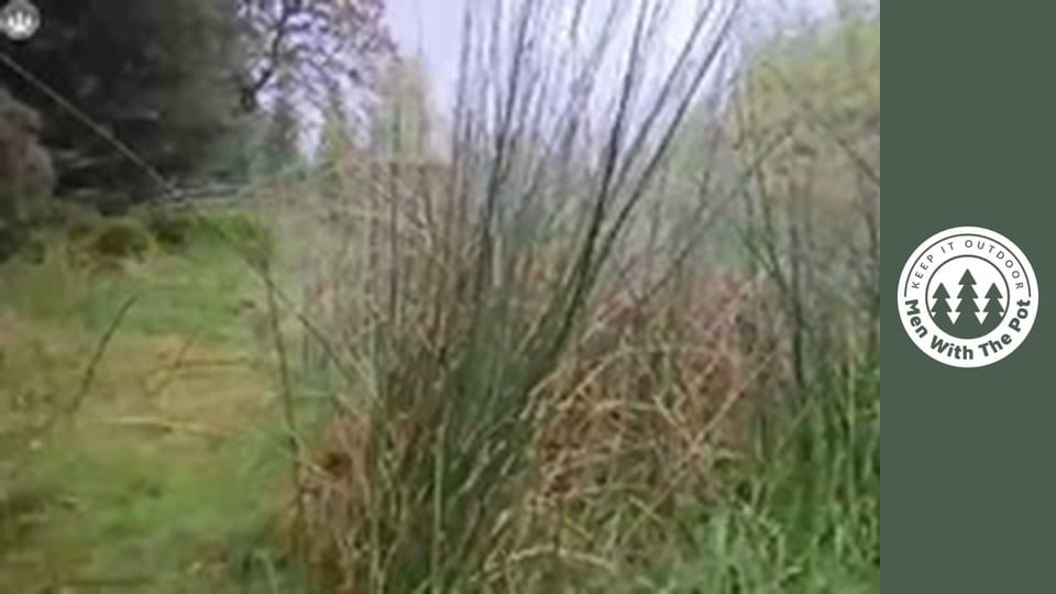 Сандвич с големи говежди кюфтета