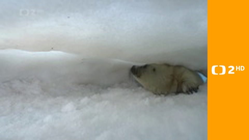 Asie E3 - Mrazivý sever