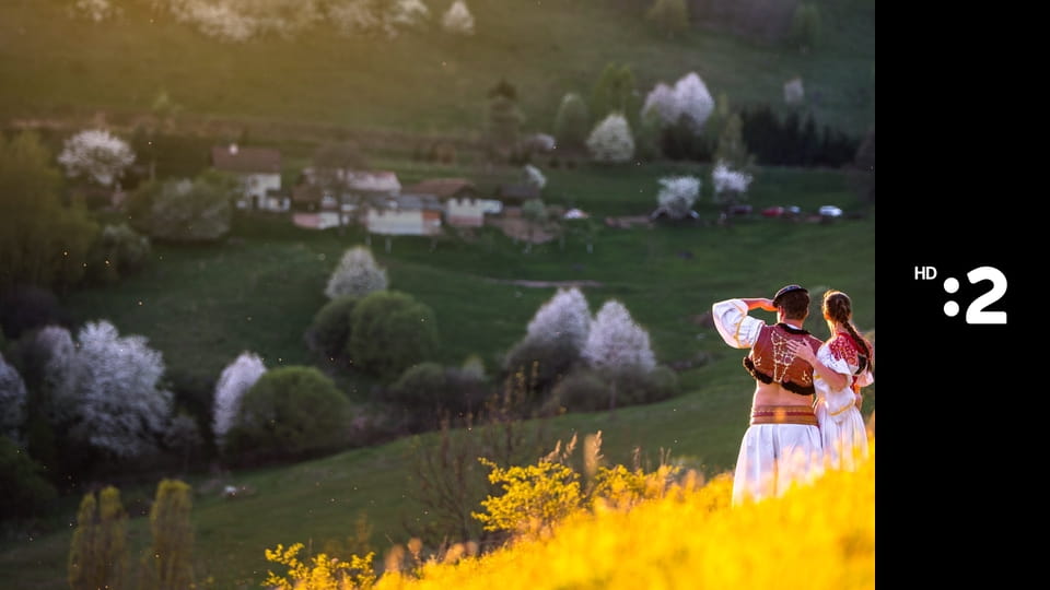 Svetozár Stračina - počuť vôňu živého