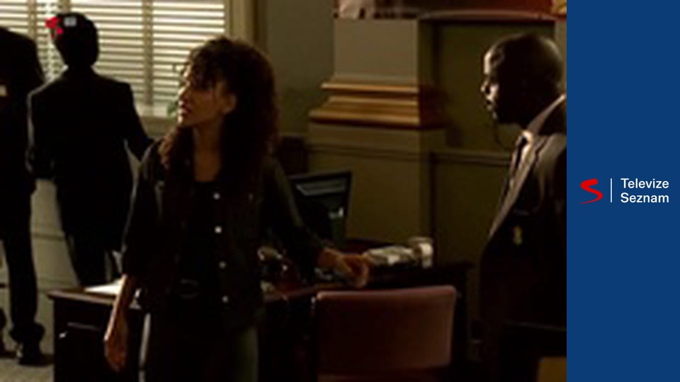 Vražedná čísla S5E22 - Perfektní zločiny