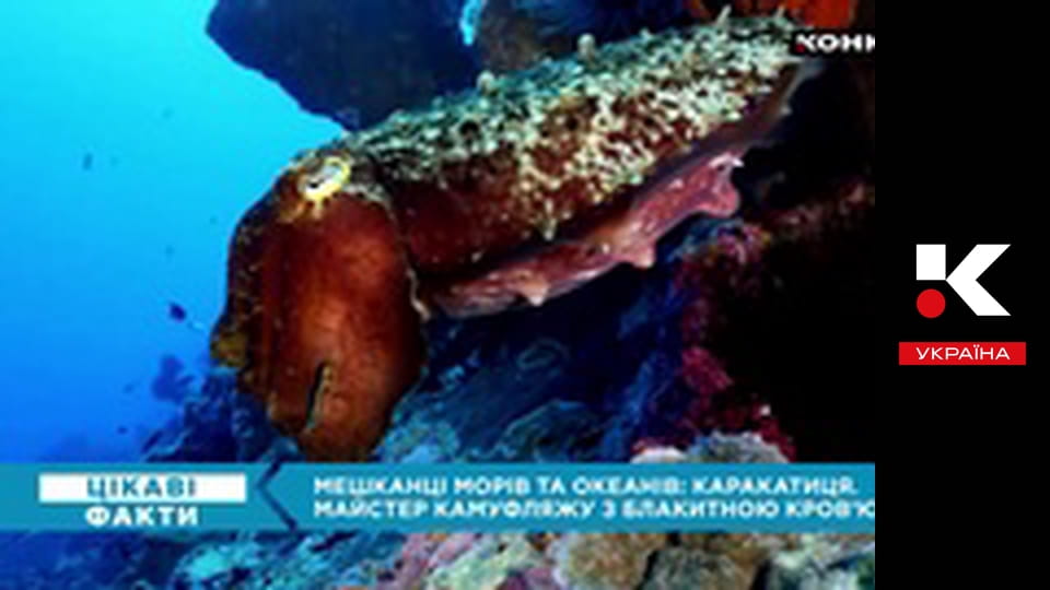 Цікаві факти.