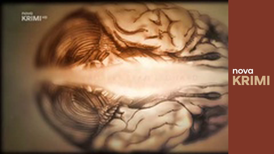 Dr. House S3E6 - Co se má stát, to se stane