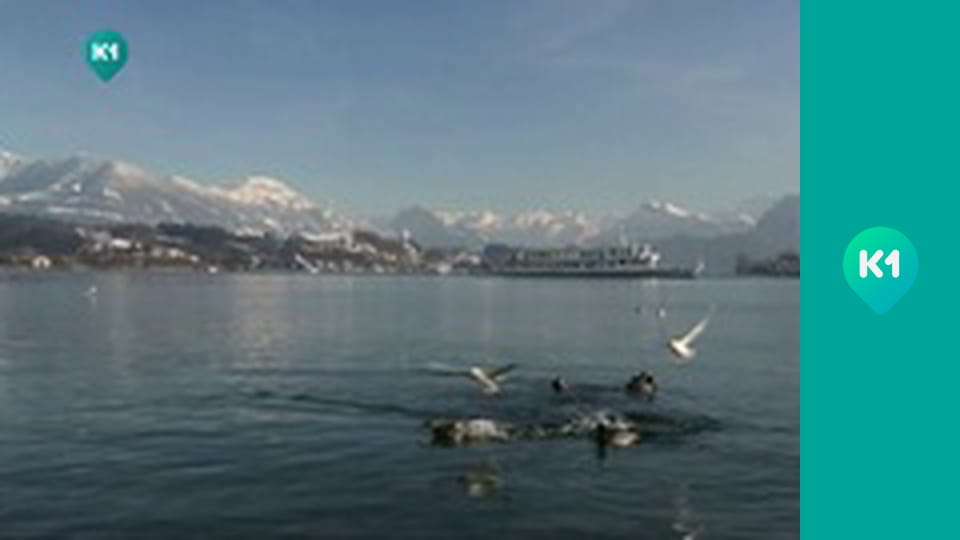 "Орел і Решка".